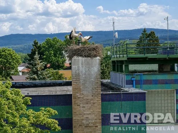 Prodej bytu 3+1, Blovice, 5. května, 72 m2
