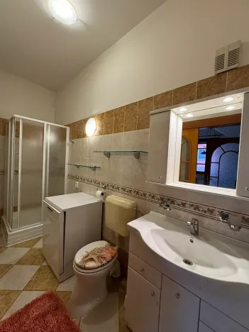 Pronájem rodinného domu, Brno, Sladkovského, 180 m2
