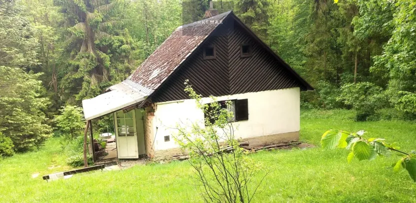 Prodej chaty, Vítkov - Zálužné, 60 m2