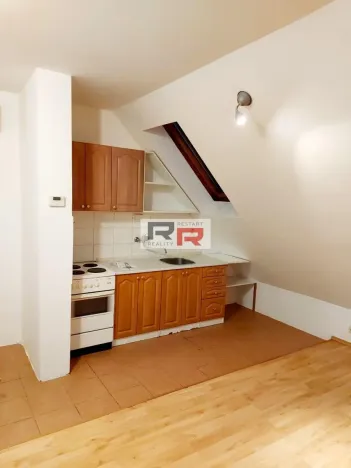 Pronájem bytu 1+kk, Olomouc - Nová Ulice, Resslova, 36 m2