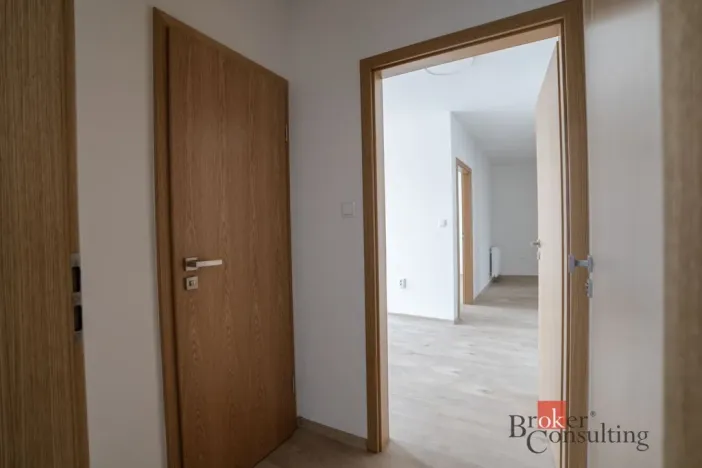 Pronájem bytu 2+1, Plzeň - Jižní Předměstí, Palackého, 65 m2