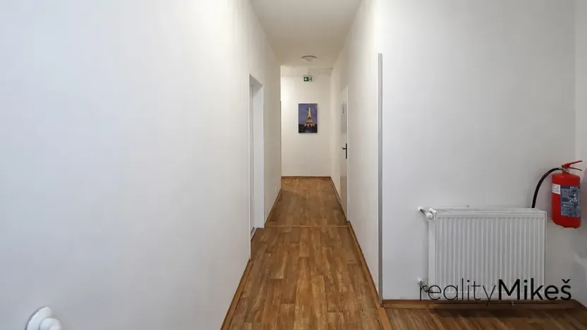Pronájem ubytování, Dobrovice, 500 m2
