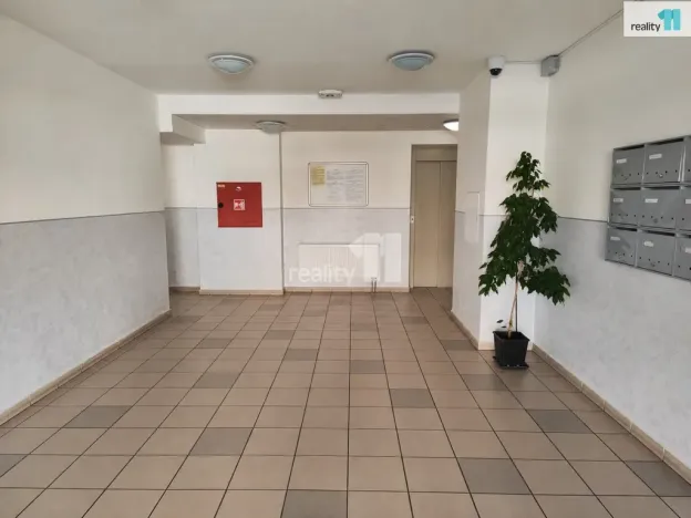 Pronájem bytu 2+kk, Pardubice - Svítkov, Dubová, 45 m2