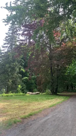 Prodej komerčního pozemku, Mařenice, 1610 m2
