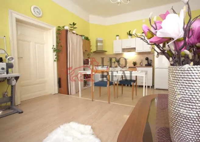 Pronájem bytu 2+kk, Brno - Brno-město, 62 m2