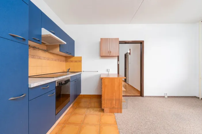 Prodej bytu 2+kk, České Budějovice - České Budějovice 2, K. Štěcha, 56 m2