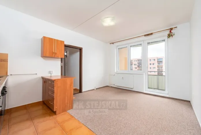 Prodej bytu 2+kk, České Budějovice - České Budějovice 2, K. Štěcha, 56 m2