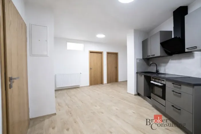 Pronájem bytu 2+1, Plzeň - Jižní Předměstí, Palackého, 52 m2
