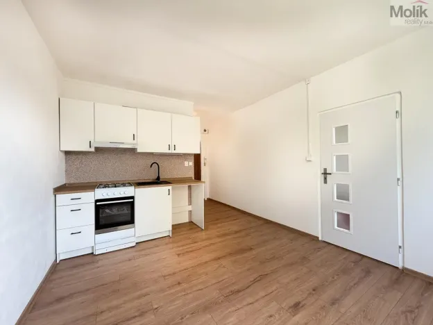 Prodej bytu 1+1, Bílina - Teplické Předměstí, Sídliště Za Chlumem, 35 m2