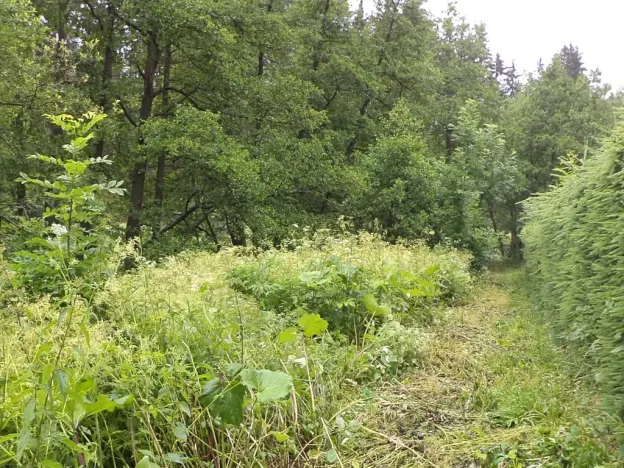 Dražba pozemku pro bydlení, Teplice nad Metují, 18922 m2