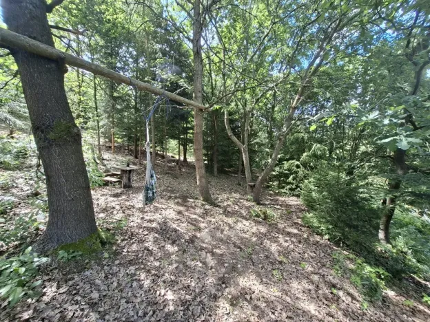 Prodej chaty, Týnec nad Sázavou - Pecerady, 30 m2