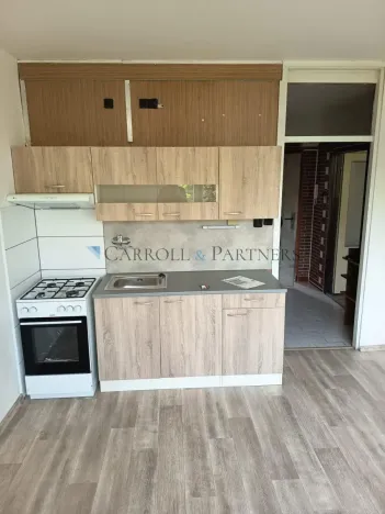 Prodej bytu 1+1, Ostrava - Hrabůvka, Krestova, 38 m2