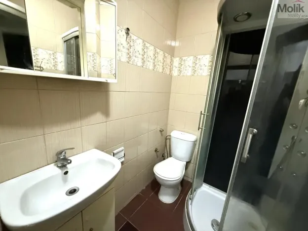 Prodej rodinného domu, Teplice - Trnovany, Thámova, 360 m2
