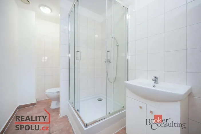 Pronájem bytu 2+kk, Mlékojedy, 51 m2