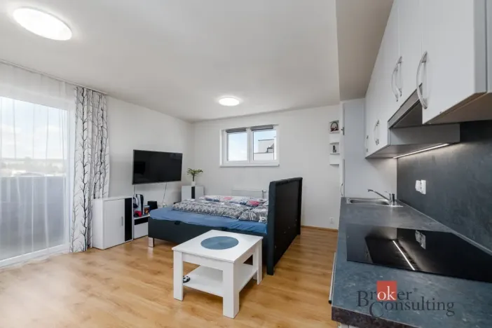 Pronájem bytu 1+kk, Heřmanova Huť - Vlkýš, U Pondu, 40 m2