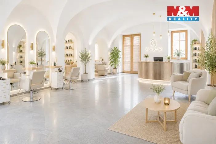 Pronájem obchodního prostoru, České Budějovice - České Budějovice 1, Hradební, 142 m2