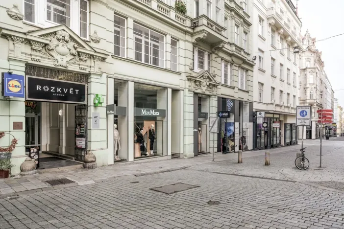 Pronájem bytu 1+kk, Brno - Brno-město, Panská, 39 m2