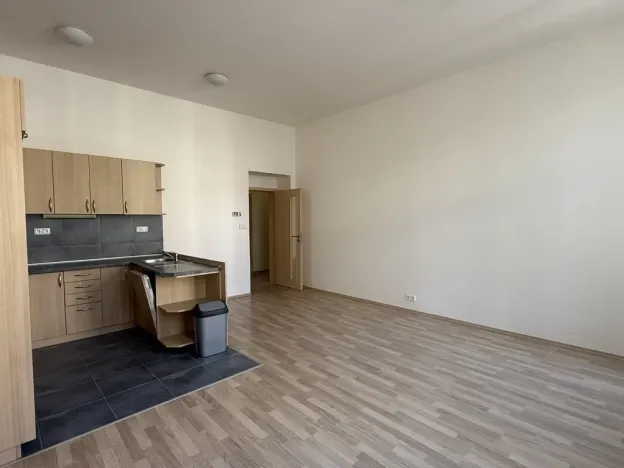 Pronájem bytu 1+kk, Brno - Brno-město, Panská, 39 m2