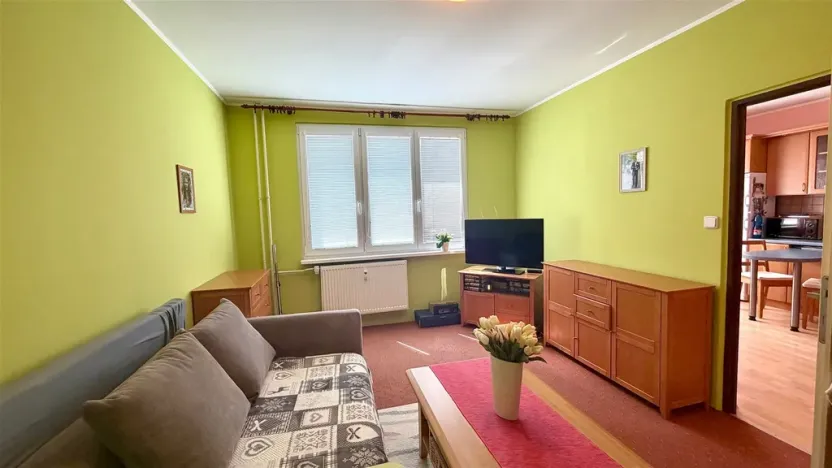 Pronájem bytu 1+1, Cheb, Mánesova, 36 m2