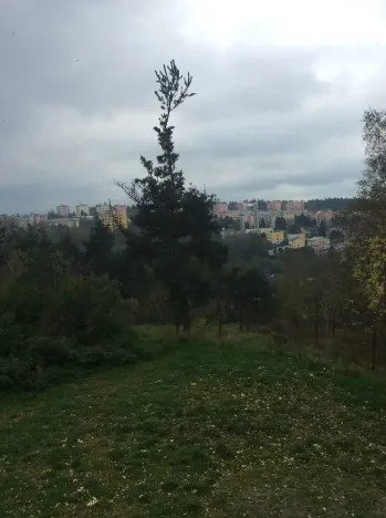 Prodej rodinného domu, Jihlava, 300 m2