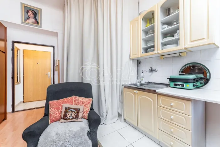 Prodej bytu 1+kk, Praha - Nusle, Sezimova, 22 m2