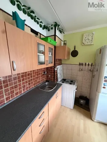 Prodej bytu 2+1, Most, Rozmarýnová, 49 m2