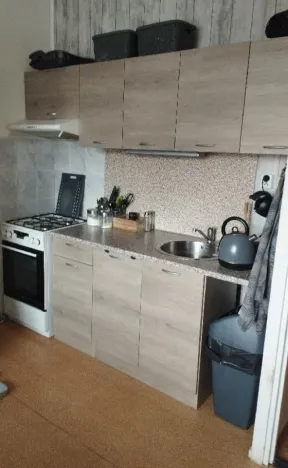 Pronájem bytu 1+1, Ústí nad Labem - Mojžíř, Peškova, 36 m2
