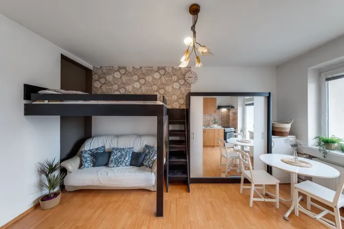 Pronájem bytu 1+kk, Ostrava - Vítkovice, Ruská, 31 m2