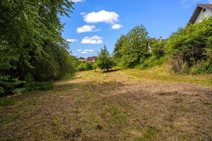 Prodej pozemku pro bydlení, Vysoké nad Jizerou, 1785 m2