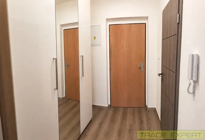 Prodej bytu 1+kk, Dolní Břežany, Ke Kapličce, 34 m2