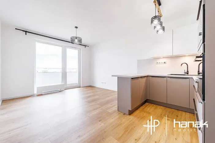 Pronájem bytu 1+kk, Olomouc, Aloise Rašína, 35 m2