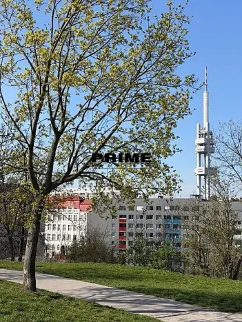 Pronájem bytu 3+kk, Praha - Žižkov, Prokopova, 154 m2