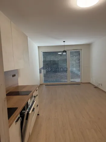 Pronájem bytu 1+kk, Praha, Jáchymovská, 33 m2