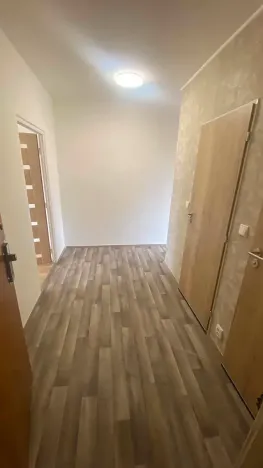 Pronájem bytu 1+1, Brno, Palackého třída, 50 m2