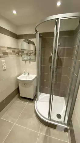 Pronájem bytu 1+1, Brno, Palackého třída, 50 m2