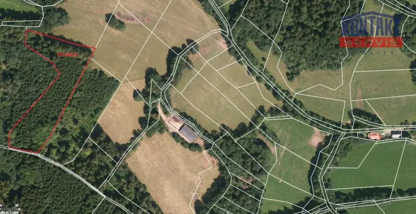 Prodej lesa, Velhartice - Nemilkov, 10112 m2