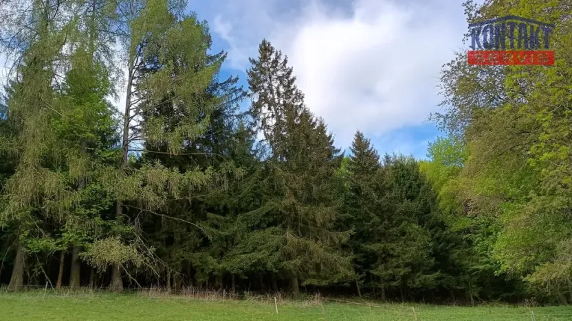 Prodej lesa, Velhartice - Nemilkov, 10112 m2