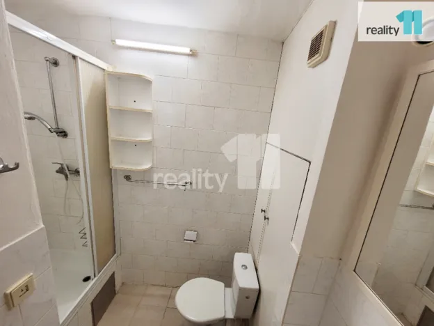 Pronájem bytu 1+1, Praha - Žižkov, Buková, 35 m2