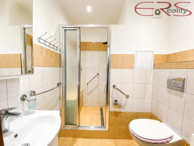 Pronájem bytu 2+kk, Liberec, Halasova, 45 m2