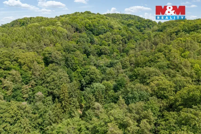 Prodej louky, Nosálov - Libovice, 13358 m2