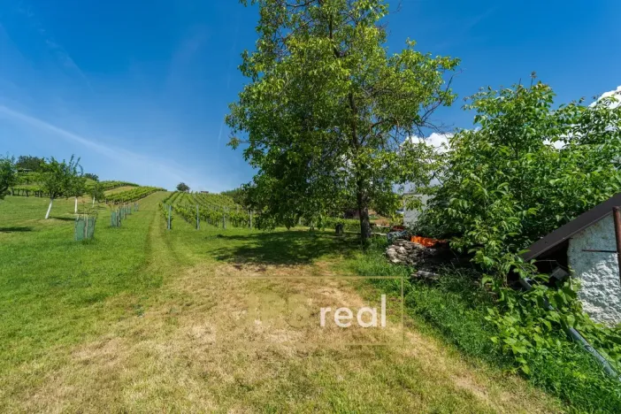 Prodej - jiné, Vlkoš, 80 m2