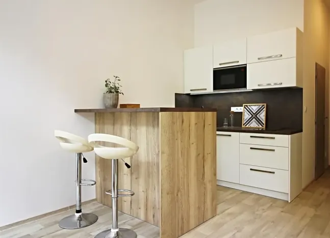 Pronájem bytu 1+kk, Brno, Koliště, 32 m2