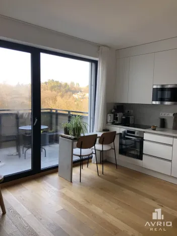 Pronájem bytu 1+kk, Brno, Kleštínek, 40 m2