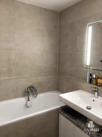 Pronájem bytu 1+kk, Brno, Kleštínek, 40 m2