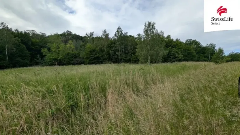 Prodej louky, Ústí nad Labem, 216333 m2