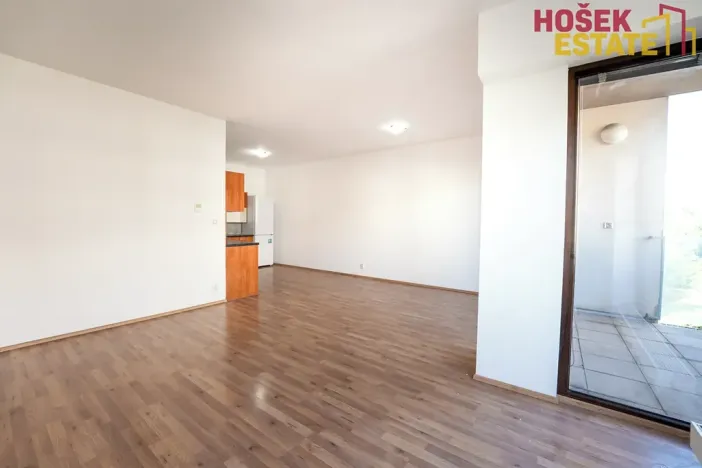 Prodej bytu 2+kk, Brno, Kigginsova, 60 m2