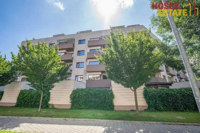 Prodej bytu 2+kk, Brno, Kigginsova, 60 m2