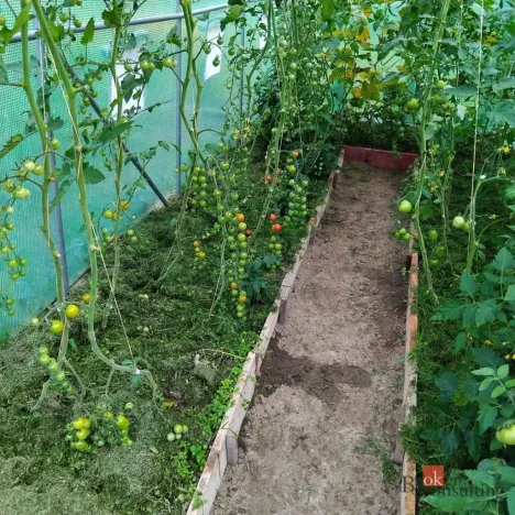 Prodej zahrady, Světlá Hora - Světlá, 350 m2