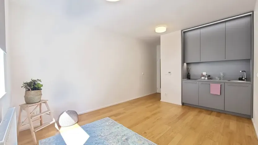 Pronájem bytu 1+kk, Brno, Mlýnská, 24 m2