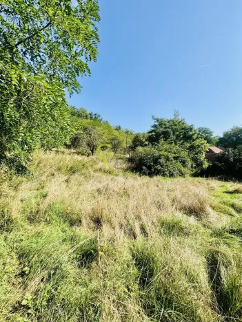 Prodej pozemku pro bydlení, Husinec, Husinecká, 3752 m2